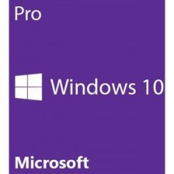 Windows 10 Pro Logo Screenshot