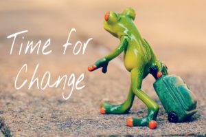 Frosch mit Koffer Time for Change