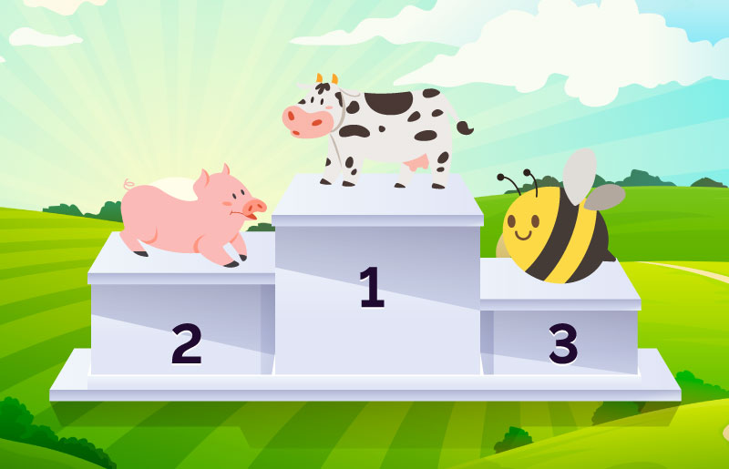 Die 3 wichtigsten Nutztiere in Deutschland: Kuh, Schwein, Biene